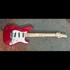 schecter-1.jpg
