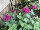 IMG_5836.jpeg