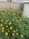IMG_5831.jpeg