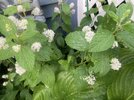 IMG_5829.jpeg