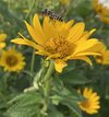 IMG_5980.jpeg