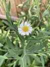 IMG_5974.jpeg