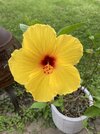 IMG_5971.jpeg