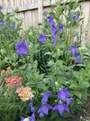 IMG_5956.jpeg
