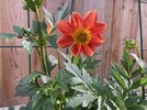 IMG_5950.jpeg
