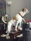 IMG_2051.jpeg