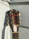 IMG_0369.jpeg
