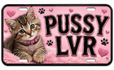 006195D4-0EC8-4326-88BF-C753D241BF5D.png