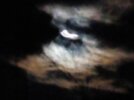 IMG_20260828_044728751.jpg