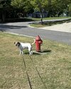 IMG_2392.jpeg
